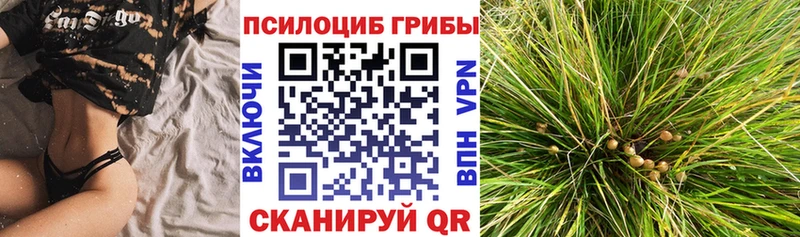 кракен сайт  Бикин  Галлюциногенные грибы ЛСД 