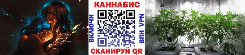 Конопля семена Бикин